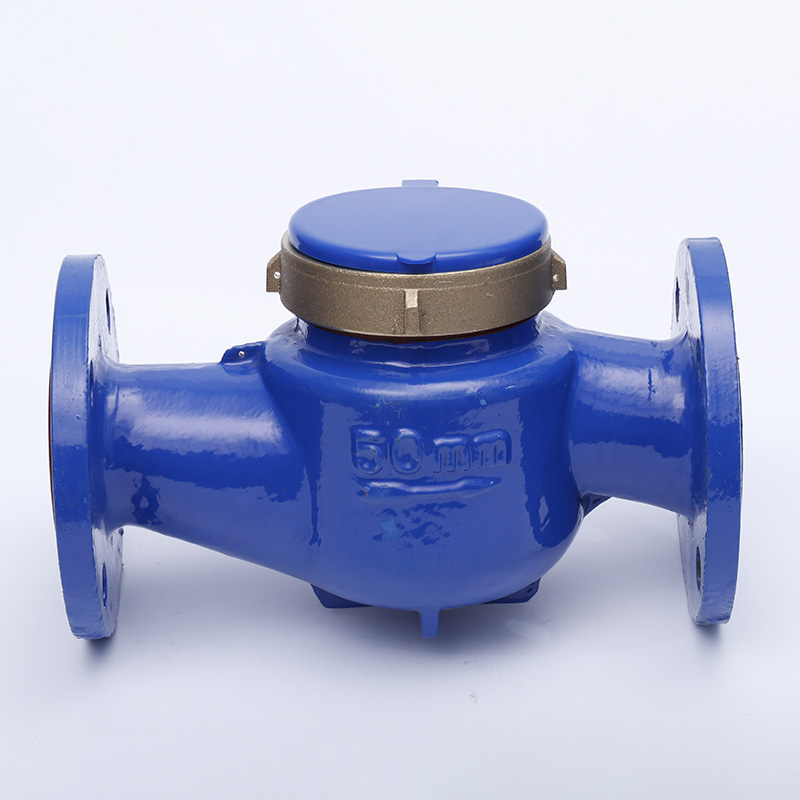 Comment un compteur d'eau multi-jets résidentiel de 50 mm améliore-t-il l'efficacité de la gestion de l'eau ?